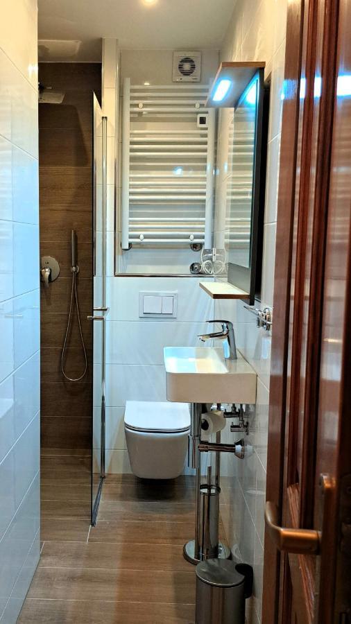 Studio Apartman Olivera Ровінь Екстер'єр фото